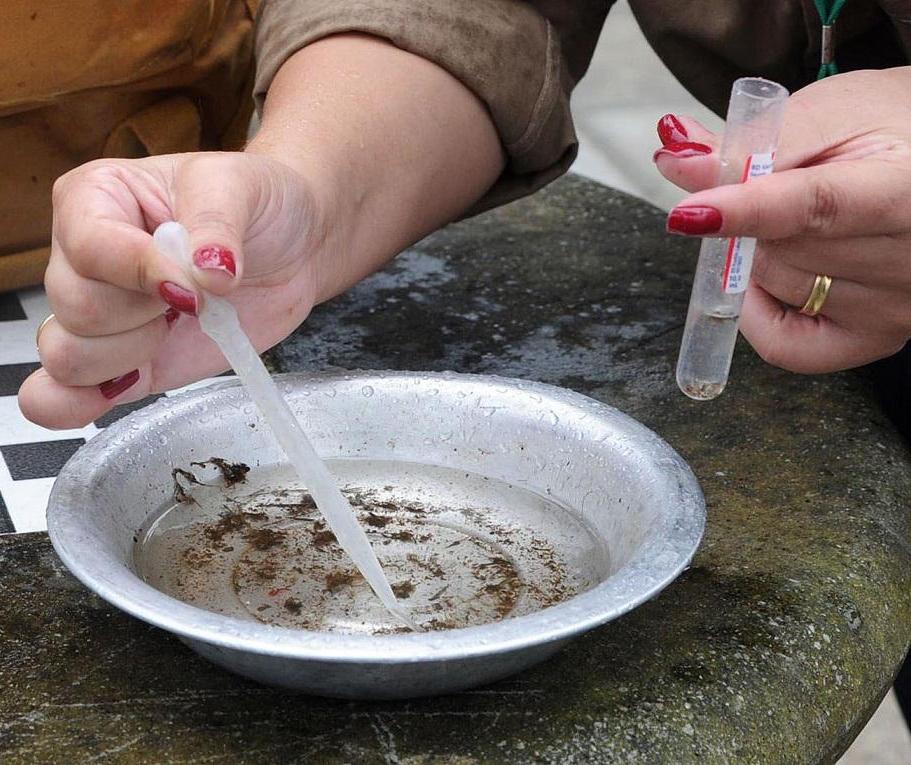 Para combater epidemia, Marialva desenvolve “Projeto Dengue”