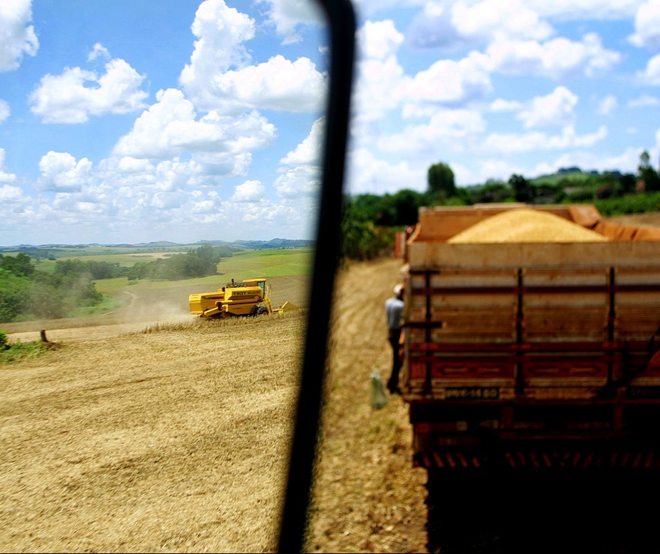 PIB da agropecuária se manteve estável no segundo trimestre