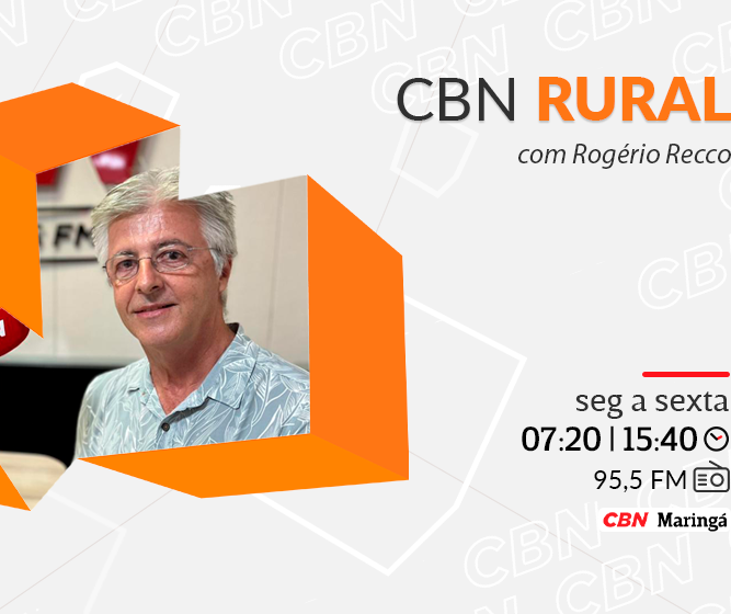 Feira do Produtor de Maringá é realizada há 42 anos 