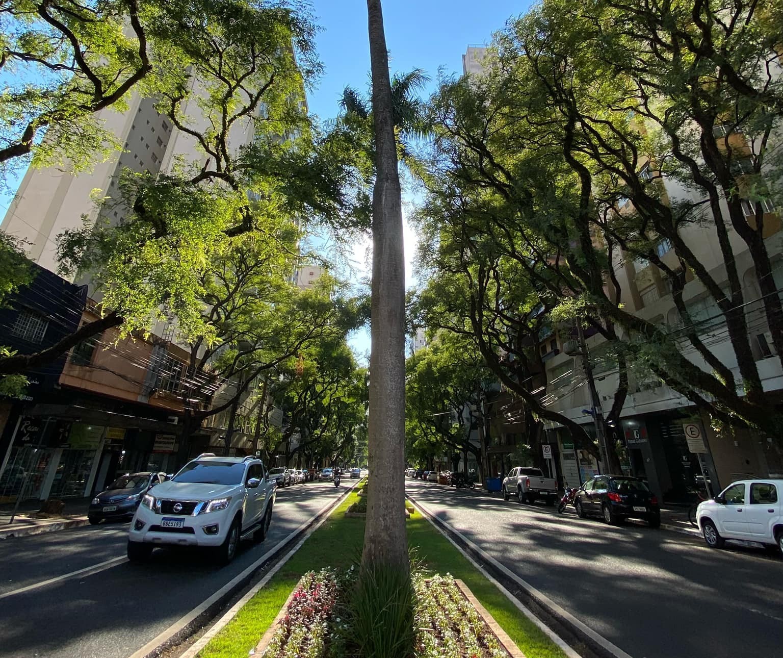 Quarta-feira ensolarada e com máxima de 29°C em Maringá