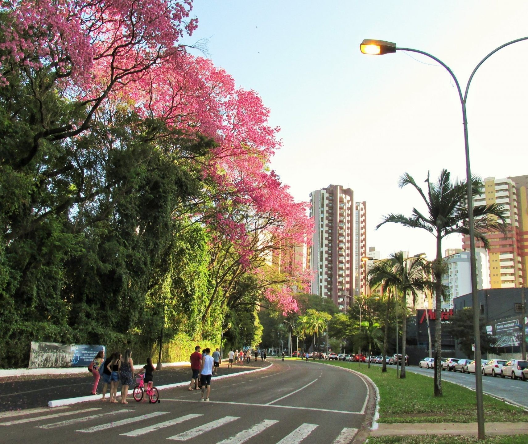 Terça-feira tem tempo quente e estável em Maringá, indica Simepar