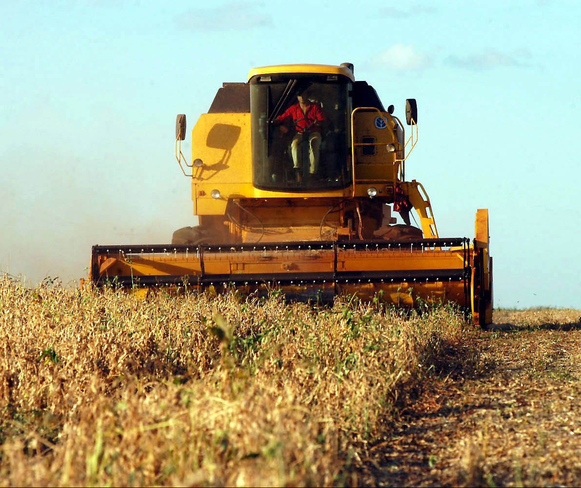 33% da soja do Paraná foi colhida; preços seguem em baixa