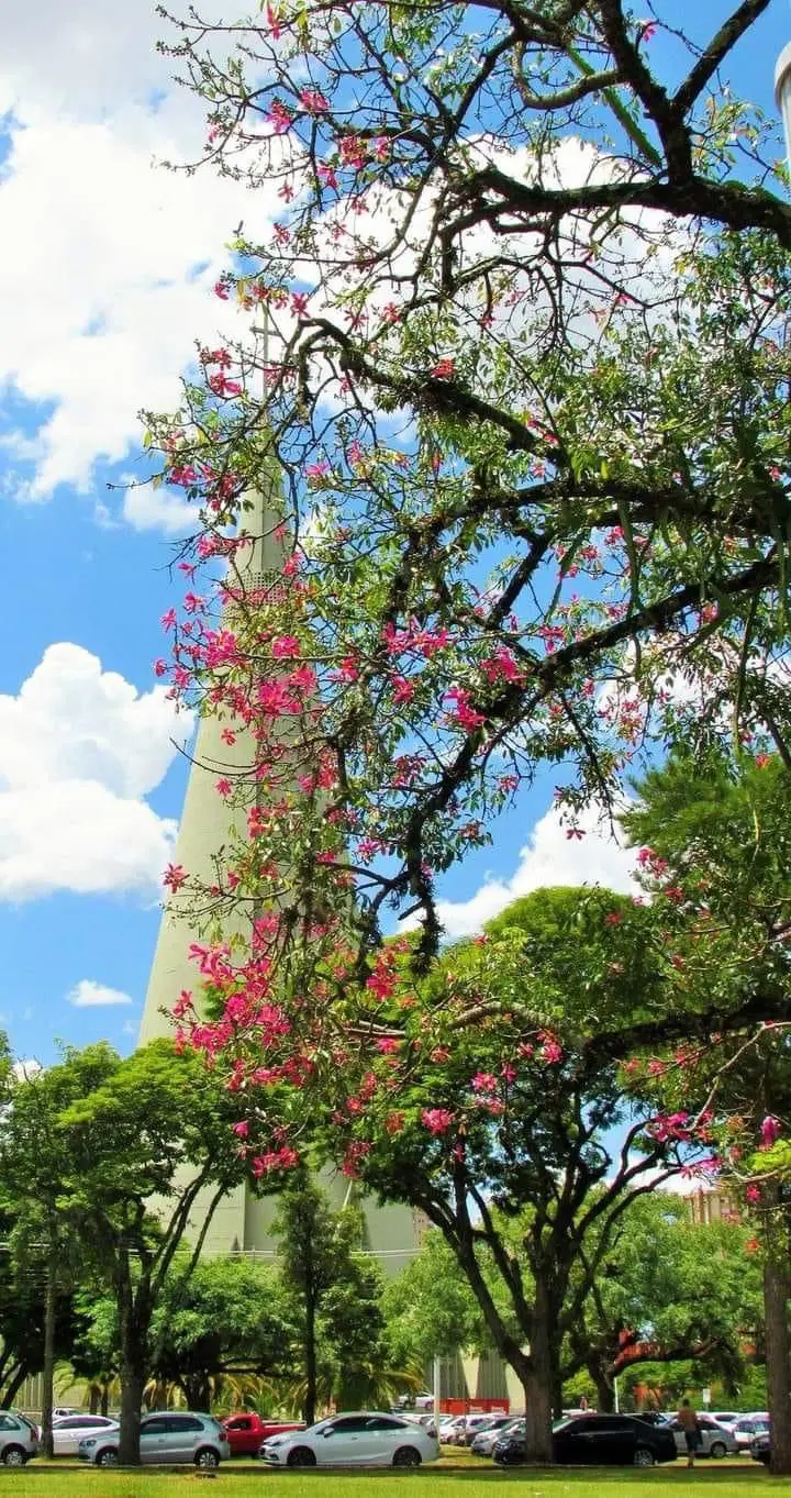 Com calor intenso, Maringá pode ter pancadas de chuva rápidas nesta terça-feira