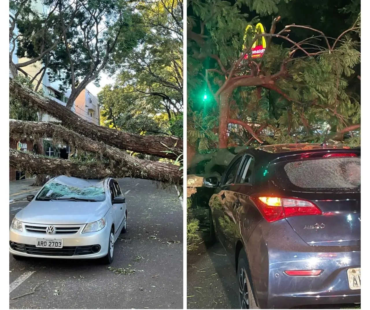 Árvores caem em cima de carros em movimento e assustam motoristas em Maringá