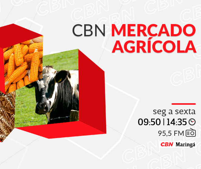 Soja custa R$ 121,00 a saca de 60 kg