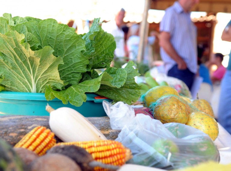 Como modernizar os conteúdos relacionados ao agro no ensino fundamental