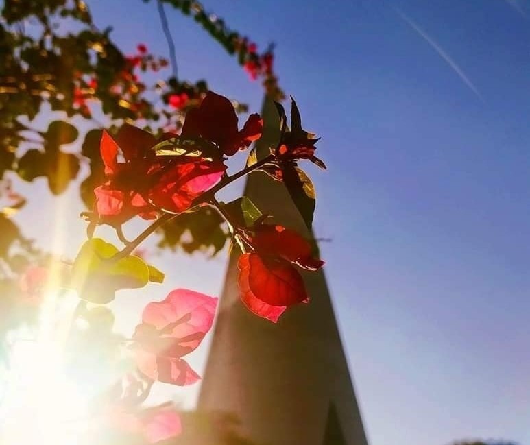 Maringá segue com tempo estável e temperaturas elevadas, indica Simepar