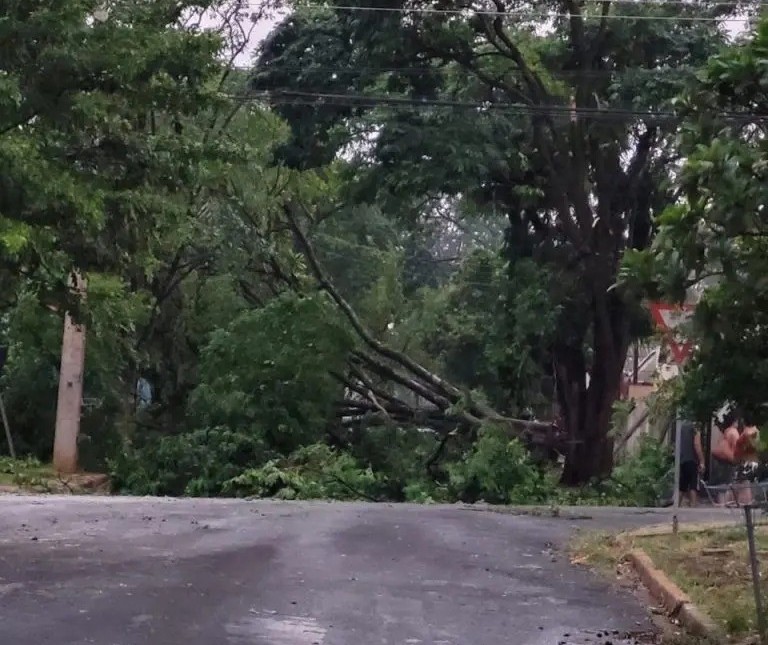 O dia depois do temporal: Veja balanço dos estragos da chuva em Maringá