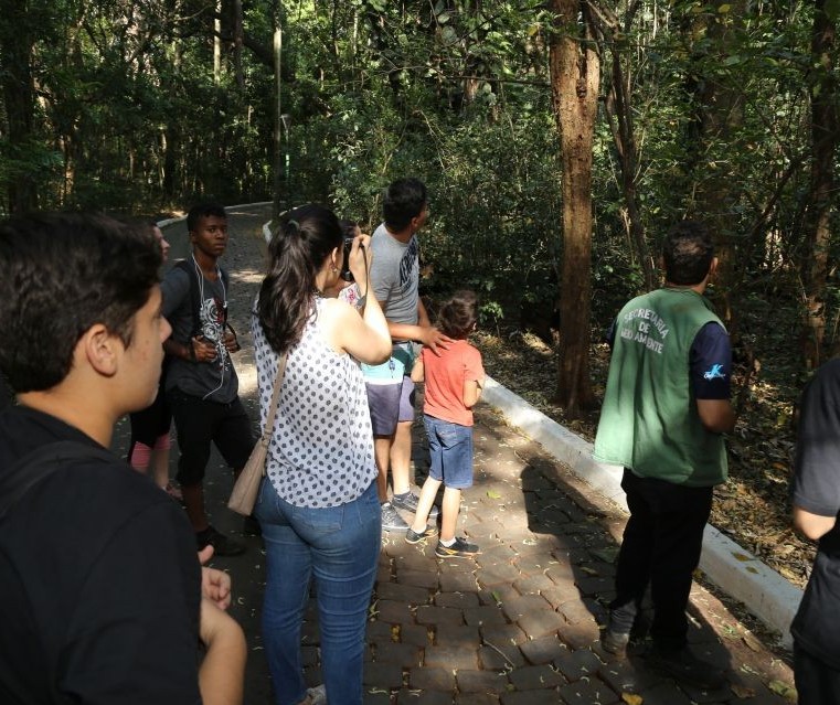 Parque do Ingá recebe visitantes para conhecer a diversidade de pássaros