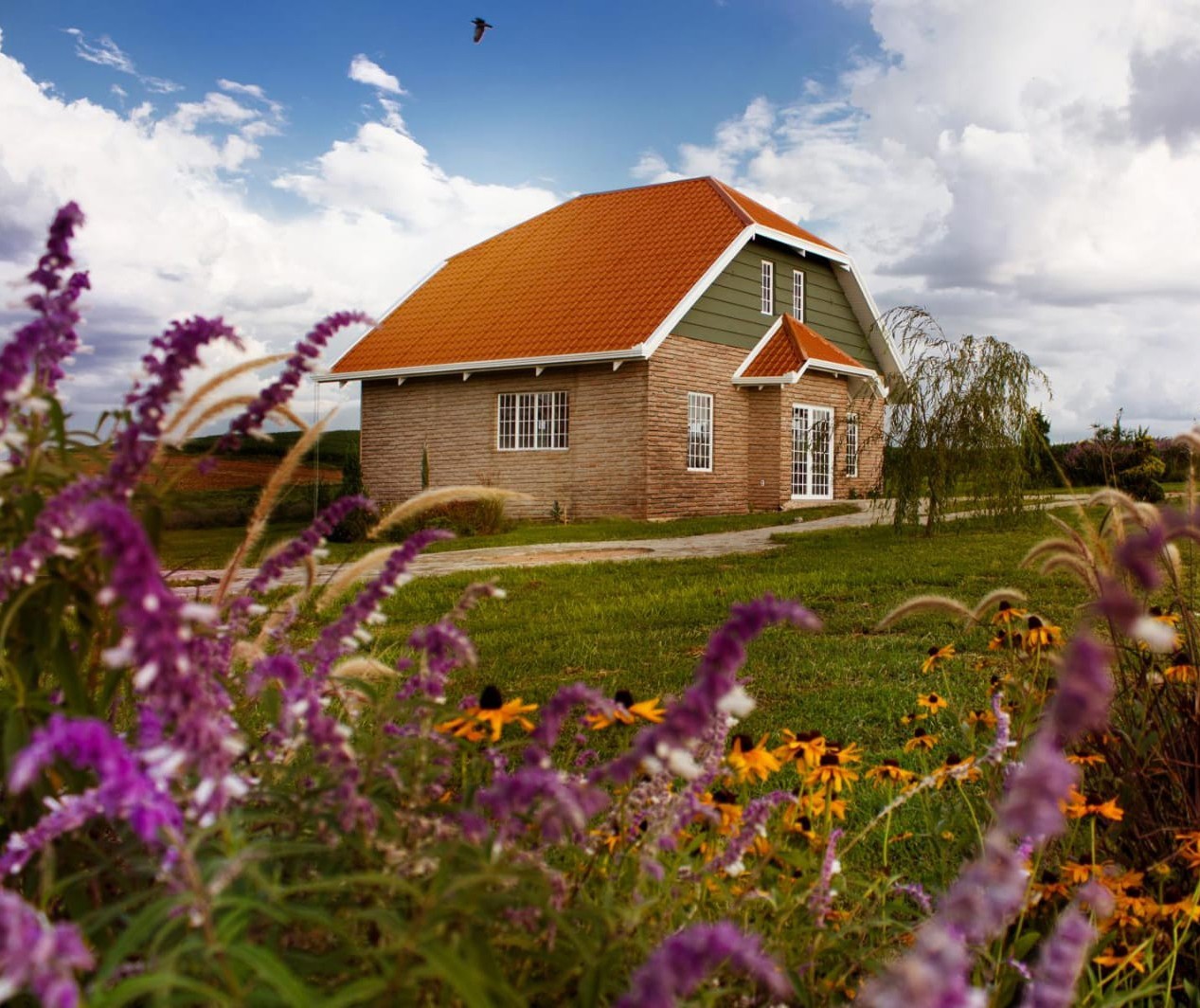 Rota da Lavanda faz parte do turismo rural 