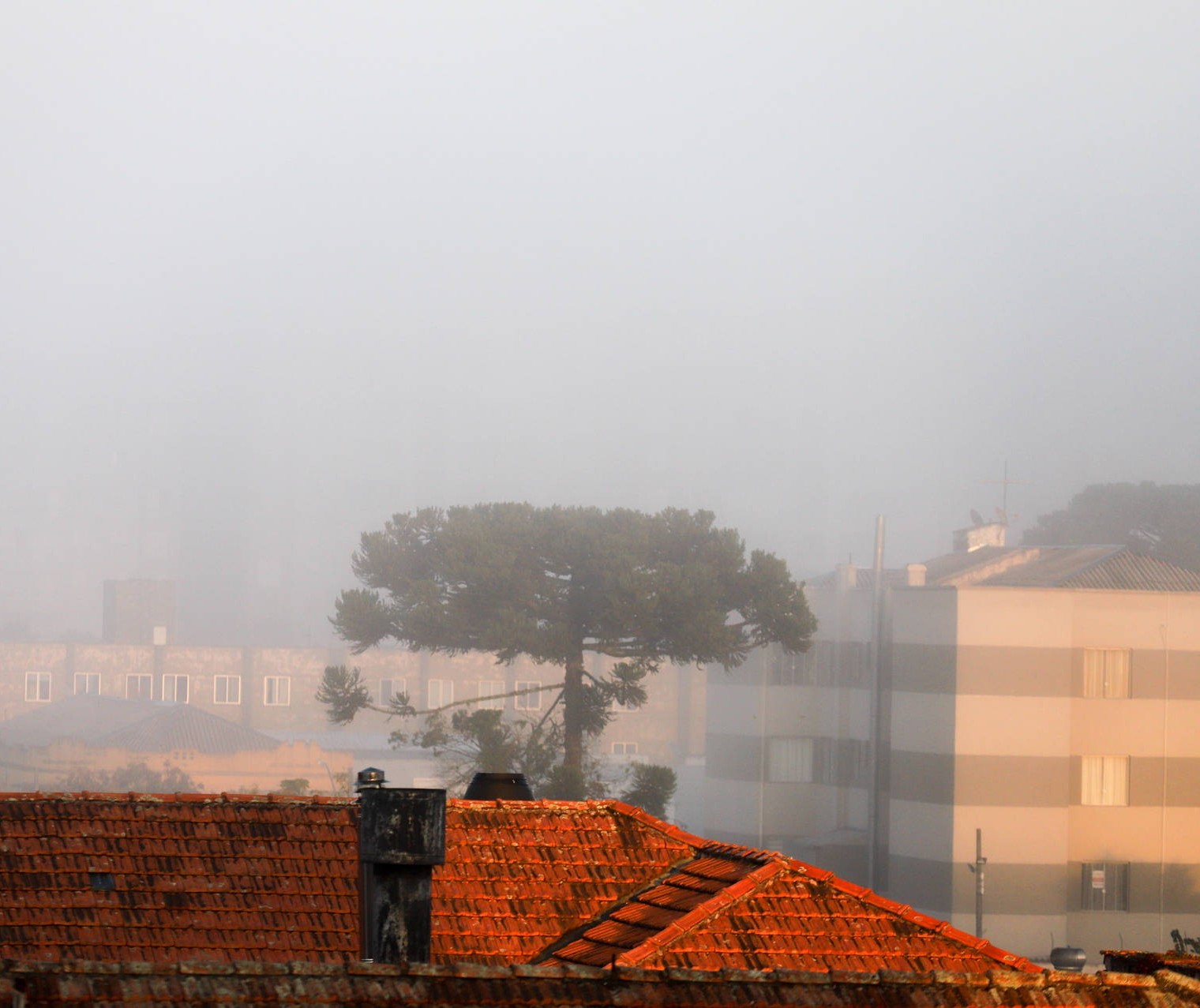 Maringá pode ter mínima de 2 graus na quarta-feira (30)