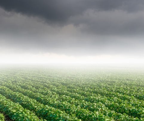 Por causa da chuva, trabalhos no campo estão paralisados