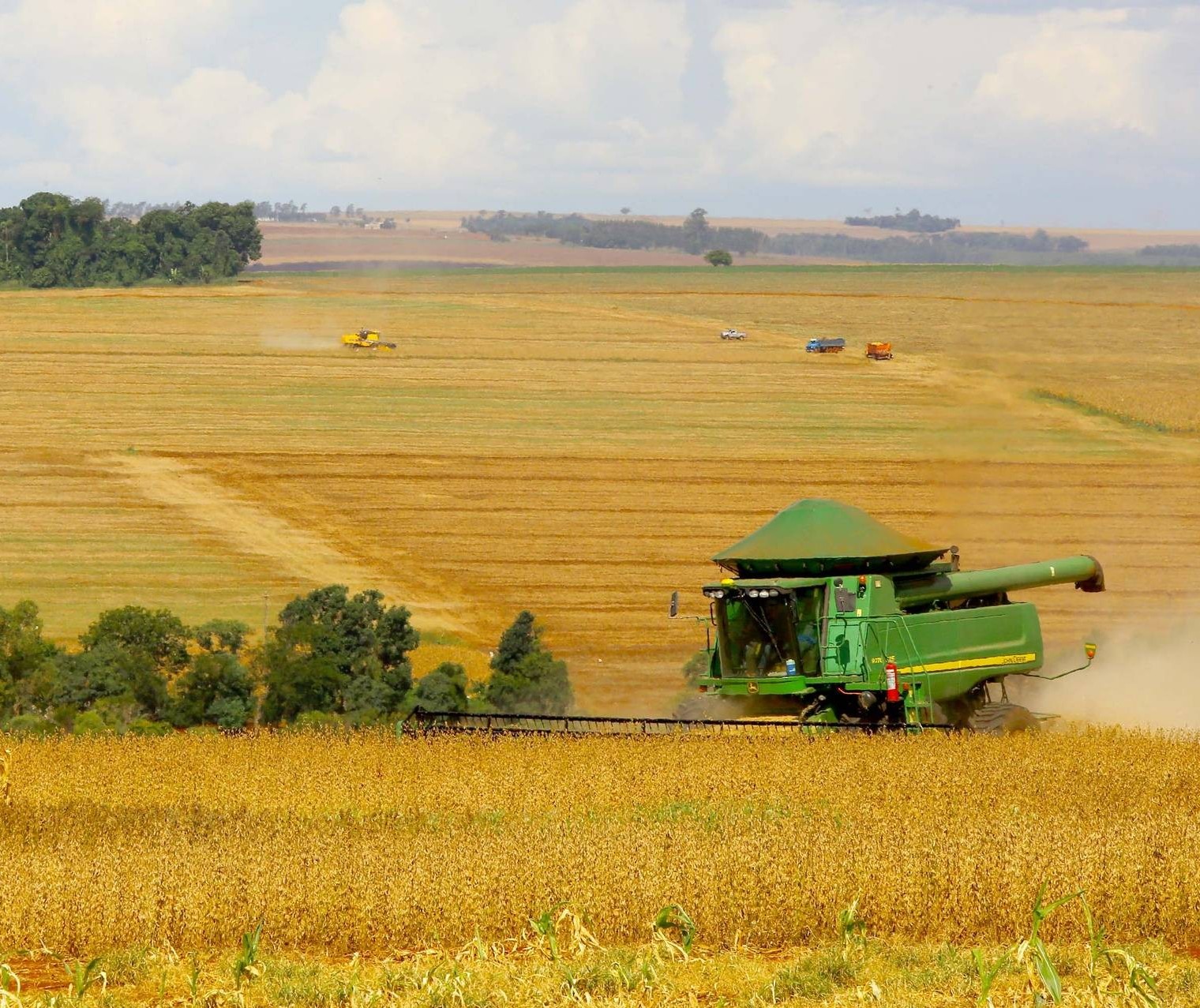 Plantio da safra 2021/2022 já está autorizado em grande parte do Brasil