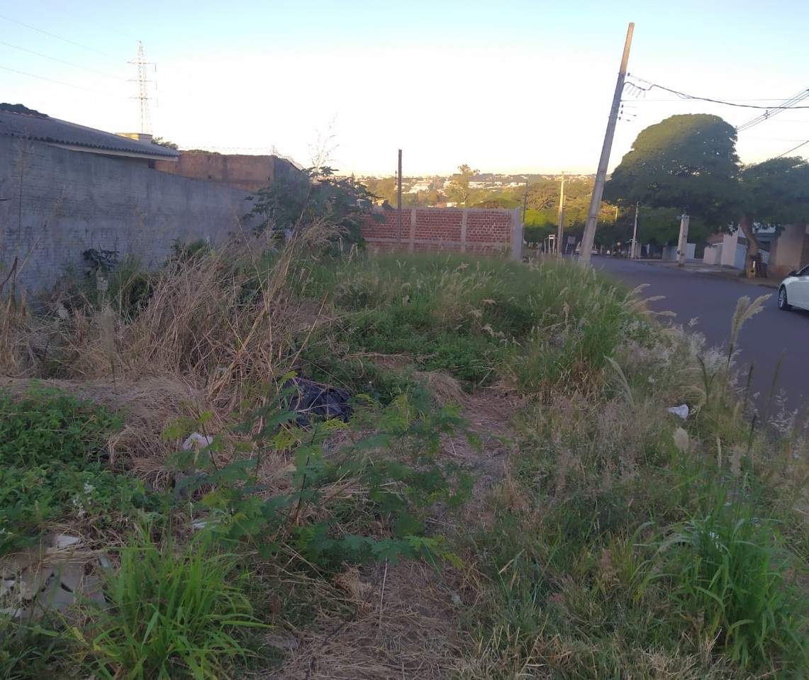 Ouvinte reclama de mato alto em terreno do Jardim Alvorada