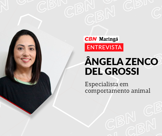 Tutores não devem reforçar comportamentos indesejados em pets