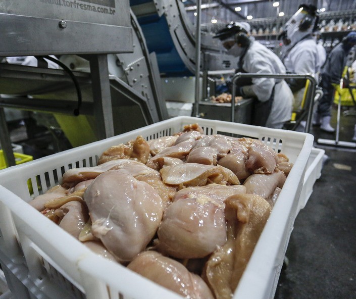 Exportações de carne de frango crescem 24,2% em outubro