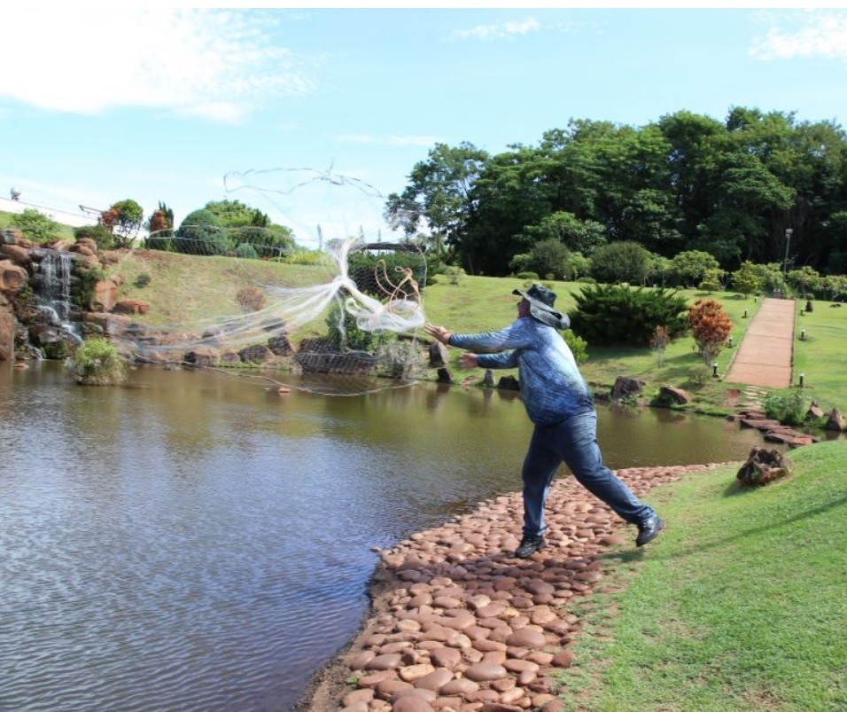  Quase 200 peixes invasores são retirados do lago do Parque do Japão