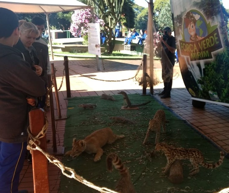 Semana do Meio Ambiente segue com várias ações em Maringá