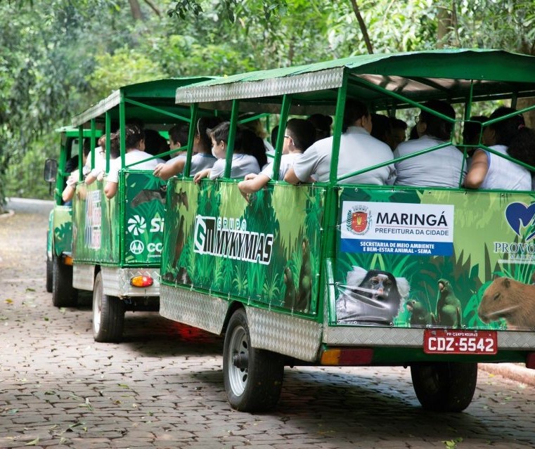 Doação de alimento para andar no trenzinho é voluntária