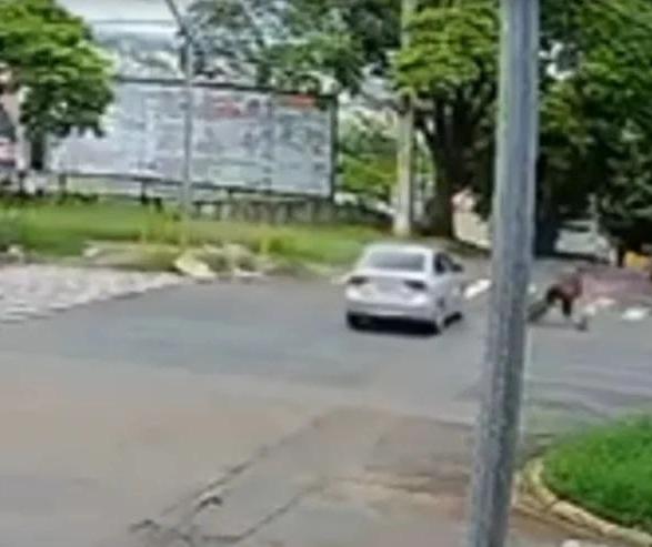 Ciclista avança sinal e provoca acidente na Avenida Colombo, em Maringá; vídeo