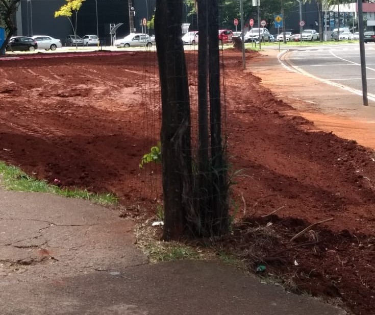 Local onde ocorrem as feiras de adoção de animais será revitalizado