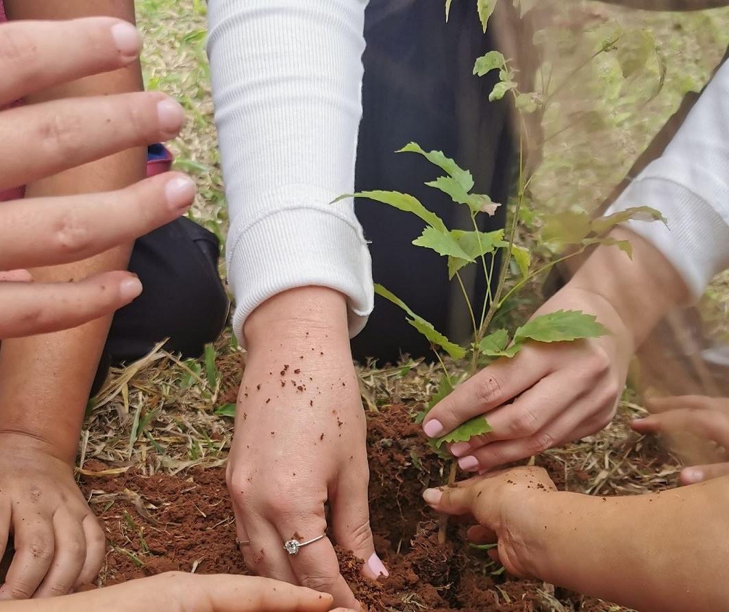 Plataforma criada em Maringá remunera agricultor por serviço ambiental