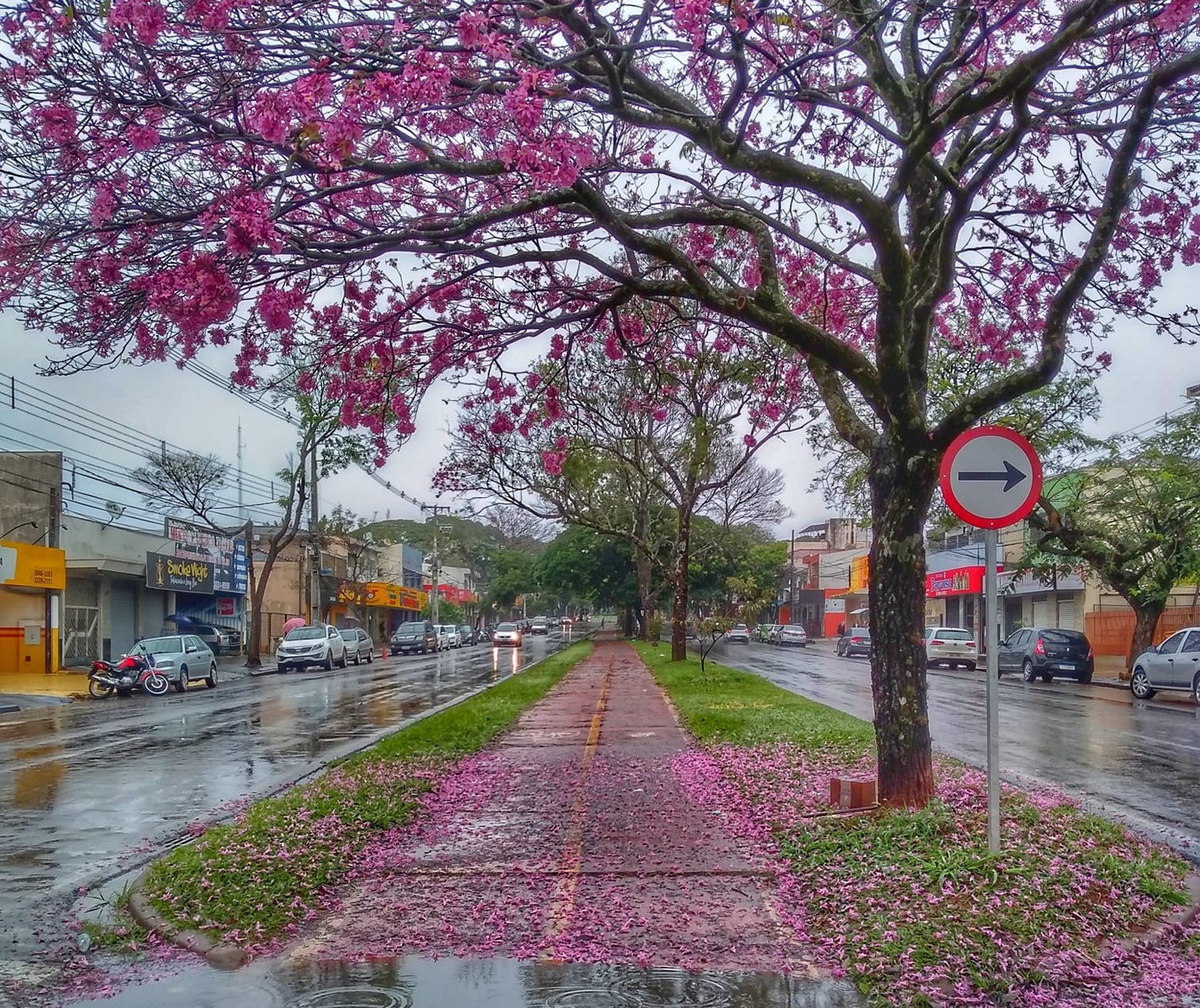 Frente fria traz chuva e frio de volta ao Paraná nos próximos dias, diz Simepar