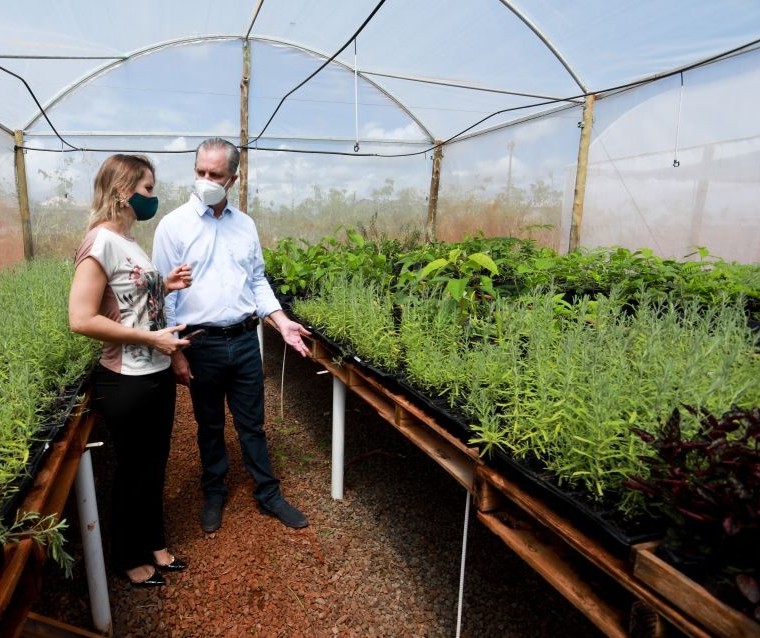 Viveiro da Colônia Penal de Maringá vai cultivar plantas comestíveis