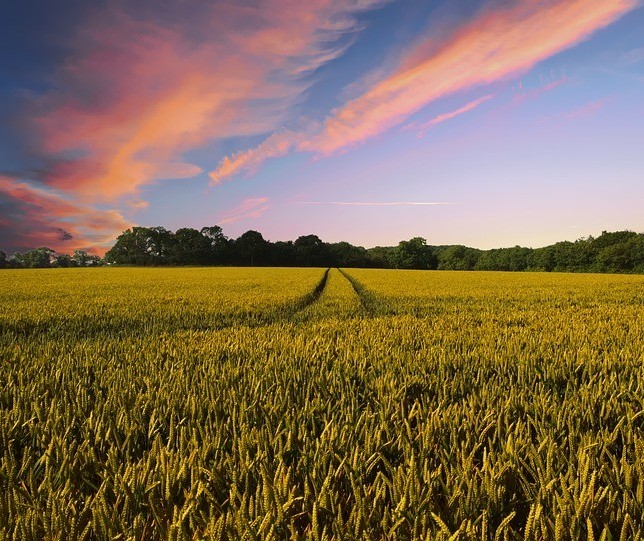 Senado aprova MP do Agro, com medidas econômicas para ajudar o produtor rural