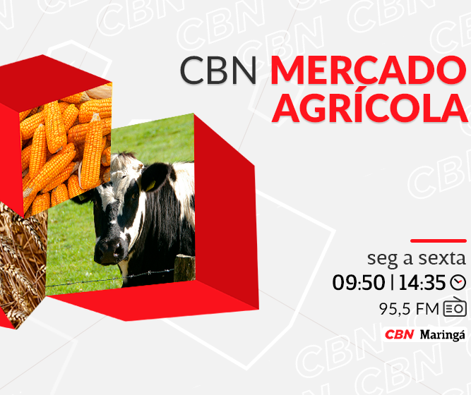 Soja segue cotada a R$ 117,00 por saca de 60 kg