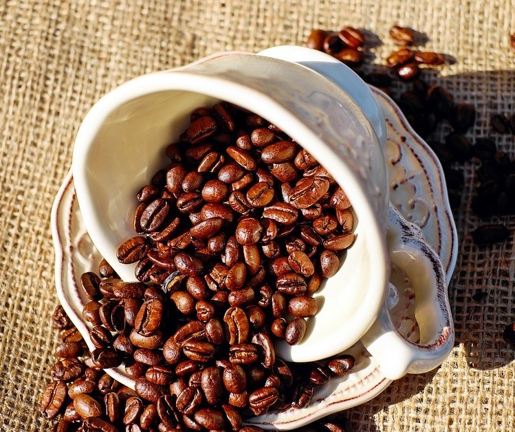 Café em coco custa R$ 6,92 kg em Maringá