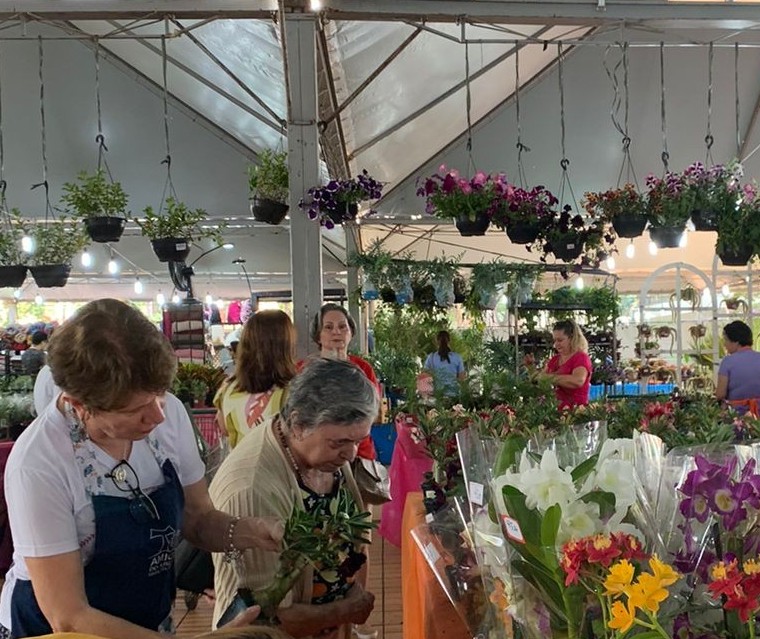 Expoflor começa em Maringá com plantas que variam de R$ 5 até R$ 2,5 mil