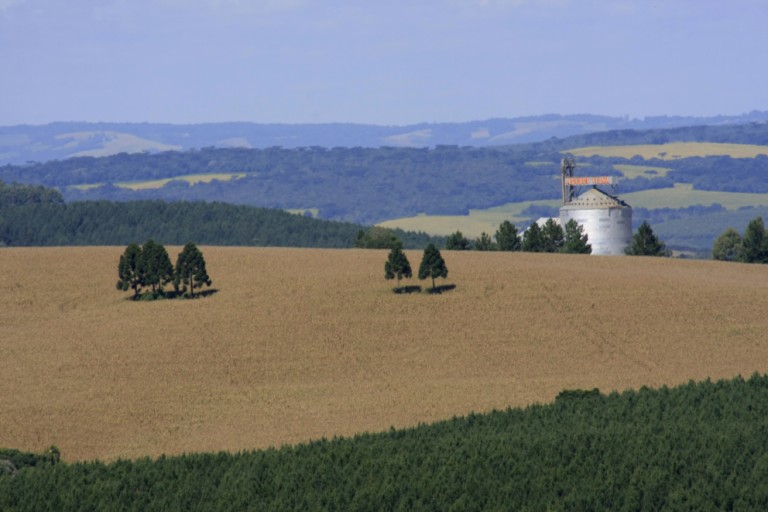 Preservação nativa em áreas rurais representa 25,6% do território nacional