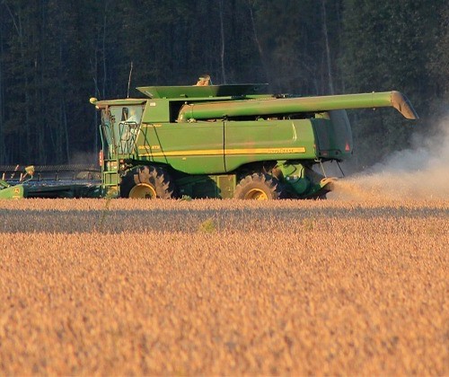 Saca da soja custa R$ 79 em Maringá