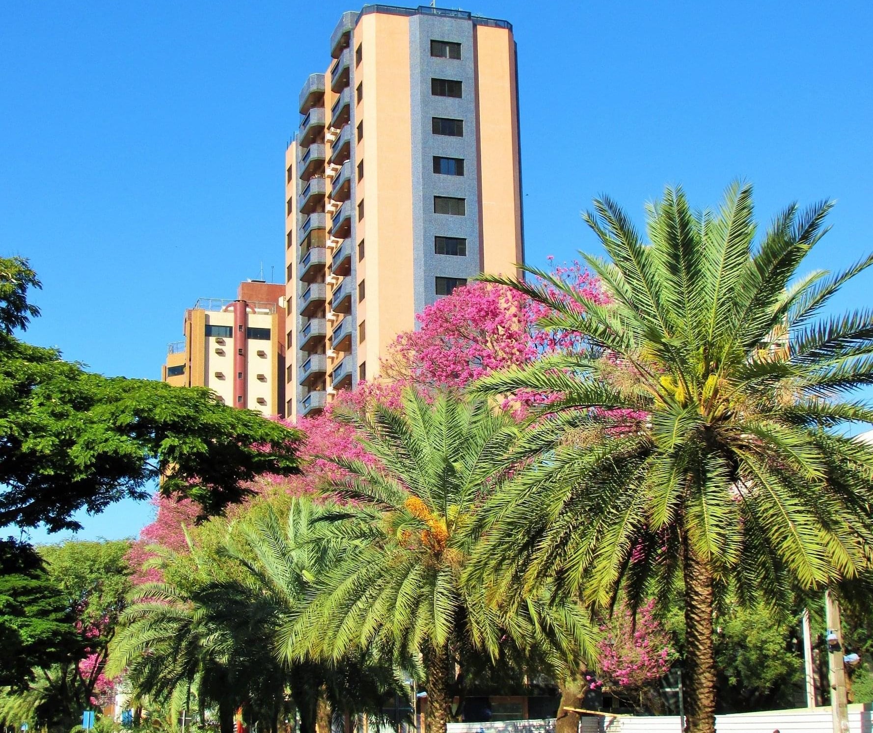 Quinta-feira ensolarada e quente em Maringá; máxima é de 28°C