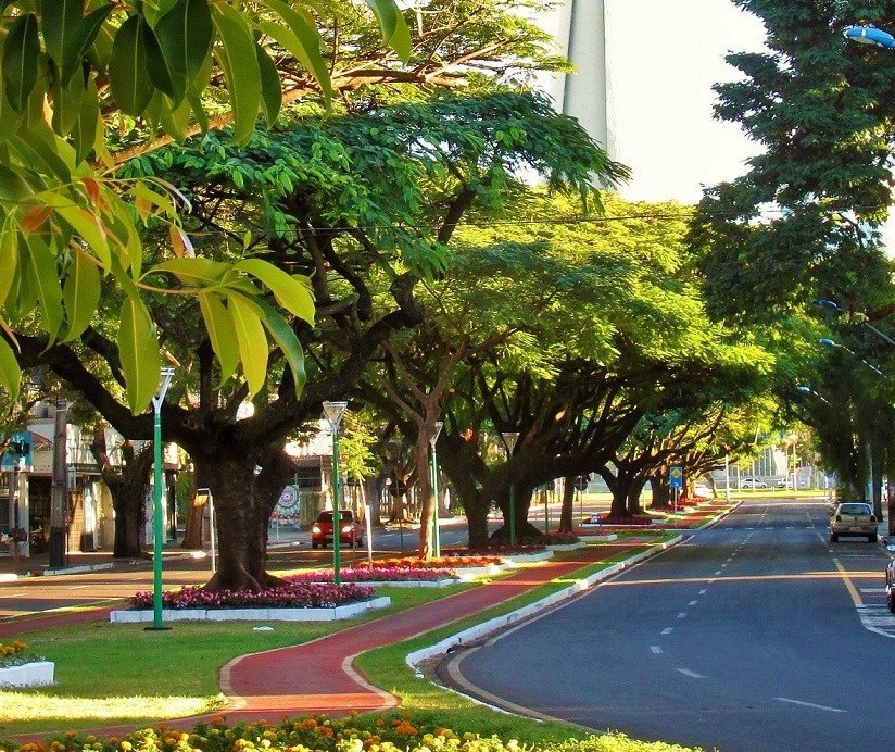 Maringá tem máxima prevista de 25º C nesta quarta-feira (26); tempo segue estável