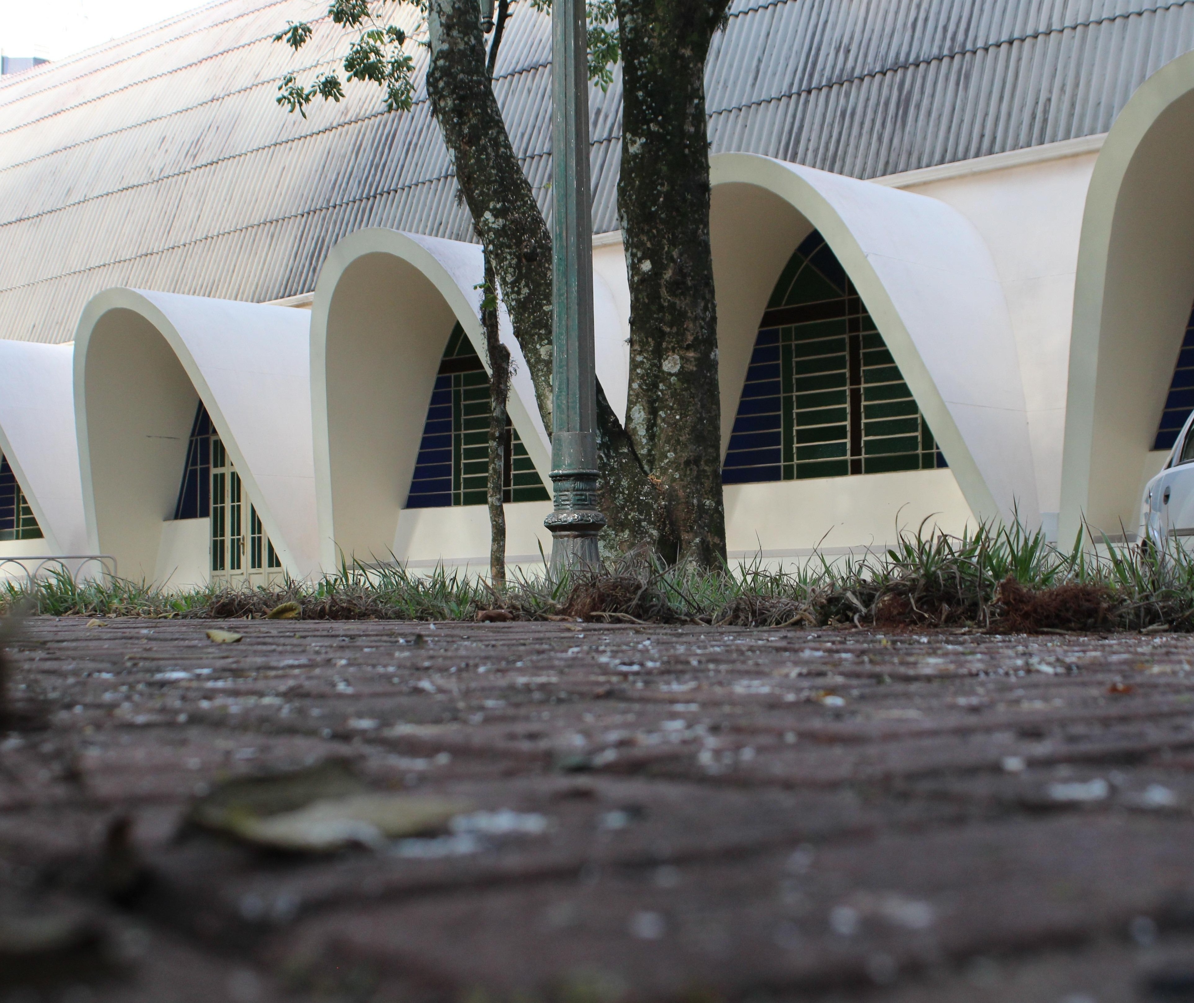 Pombos impedem igreja de fazer procissões externas em Cianorte