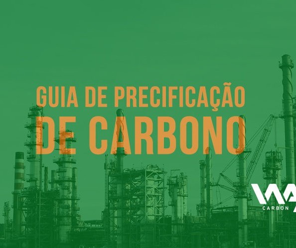 A precificação de carbono 