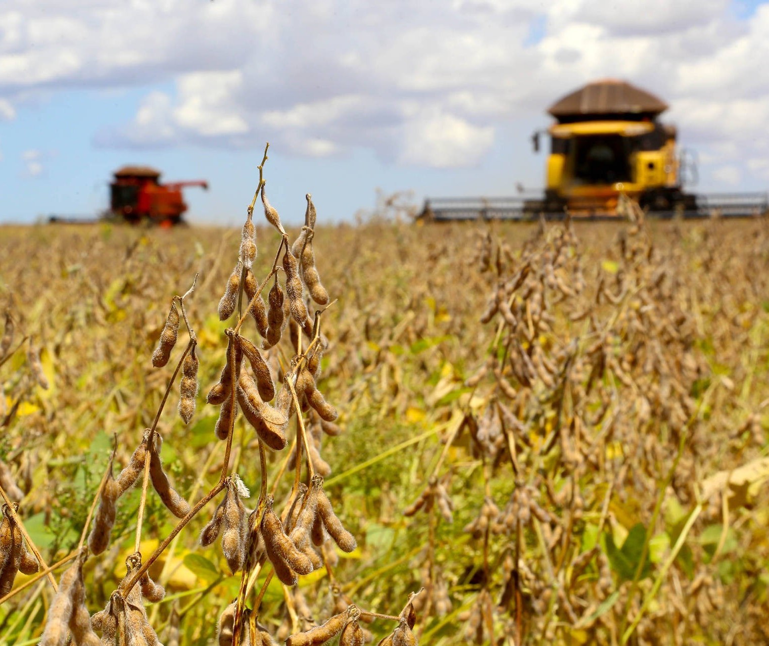 Produtores de soja do norte/noroeste preparam as máquinas para o plantio