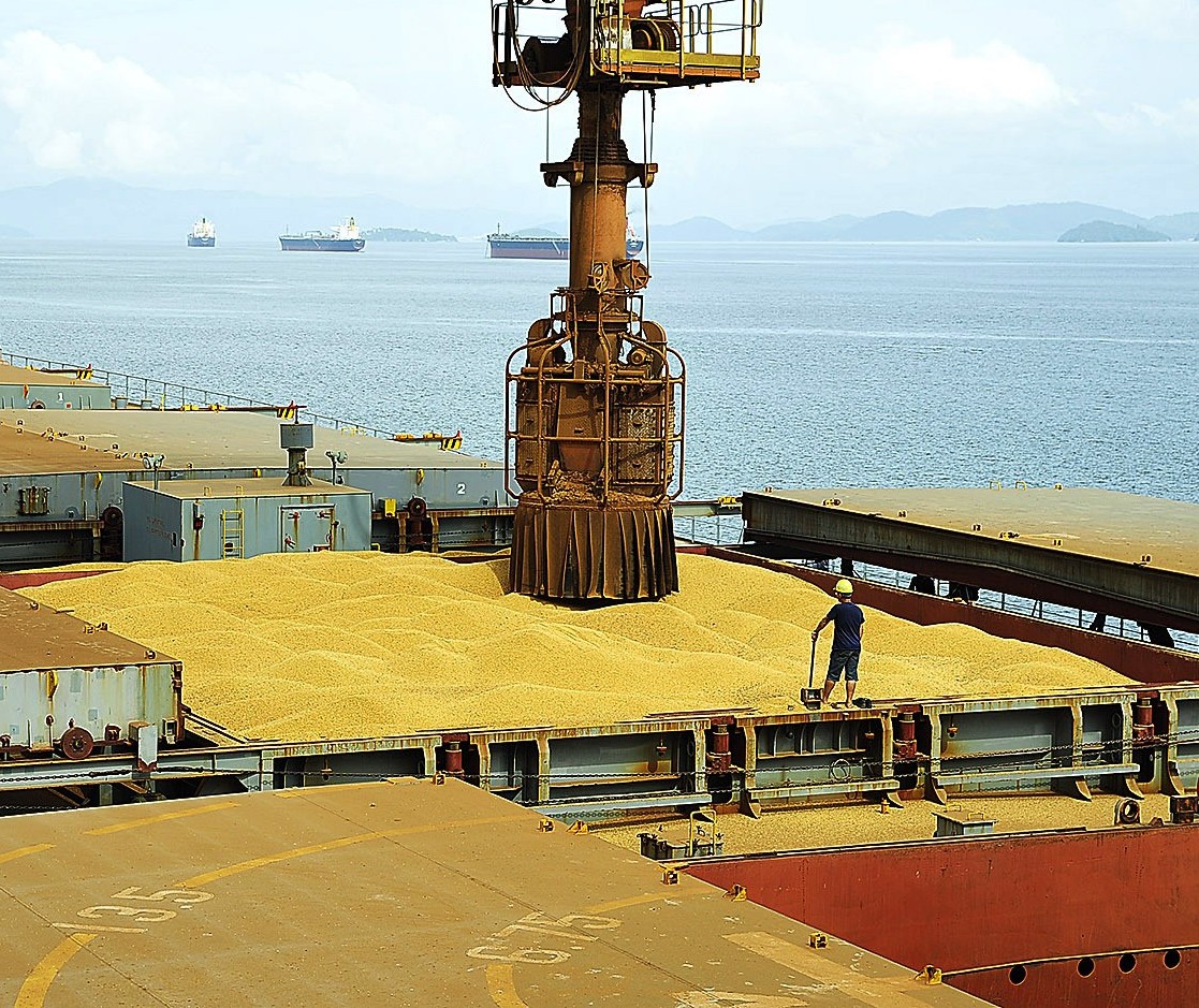 Comercialização da soja no Brasil é acelerada após período de lentidão