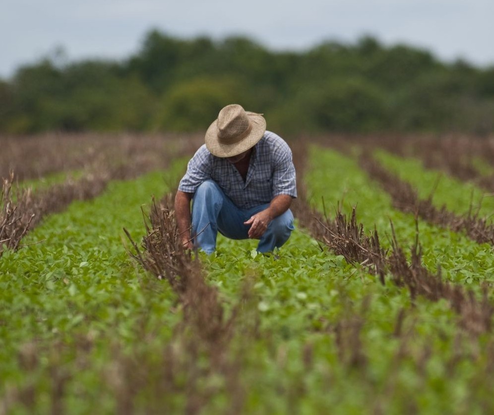 Diretor de crédito agrícola do Sicredi faz balanço de 2019 e início de 2020