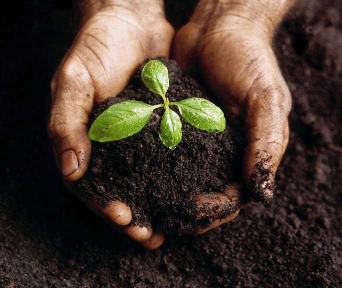 Governo do Paraná desenvolve programa de agricultura sustentável