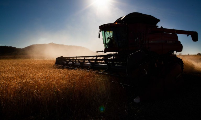 Apesar da pandemia, venda de máquinas agrícolas deve crescer em 2021, diz Abimaq