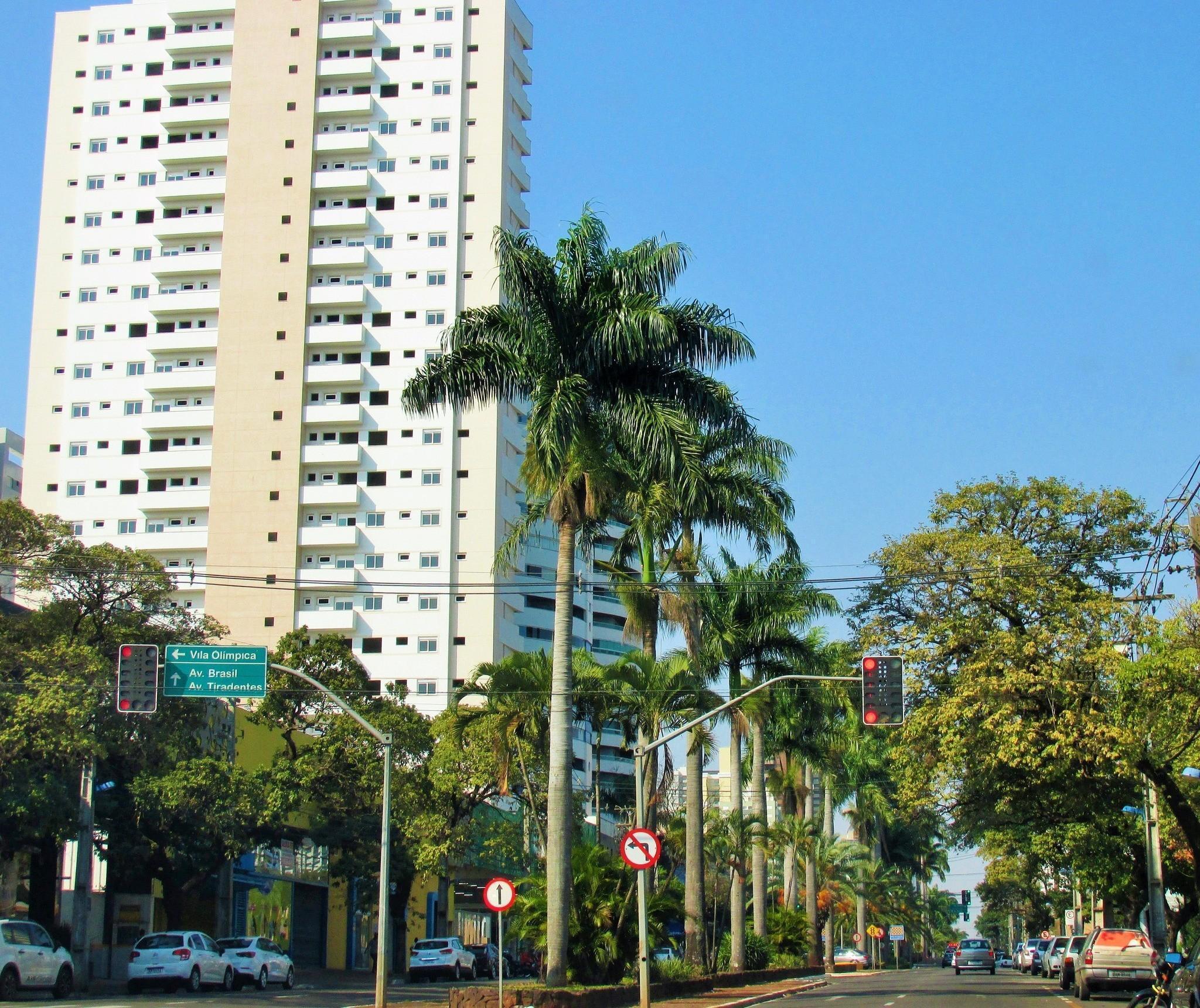 Simepar indica céu limpo e ar seco nesta quinta-feira (31) em Maringá