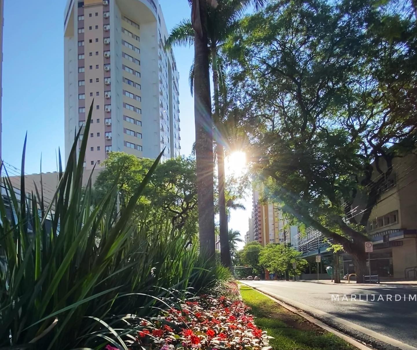 Tempo segue firme nesta terça-feira (24), com máxima de 27°C em Maringá