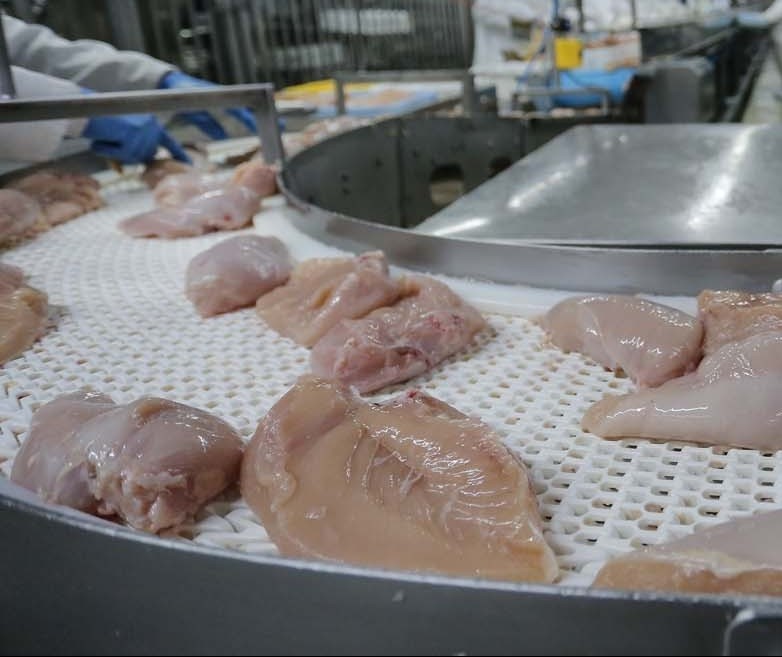 Volume de frango exportado no Brasil é o maior da história