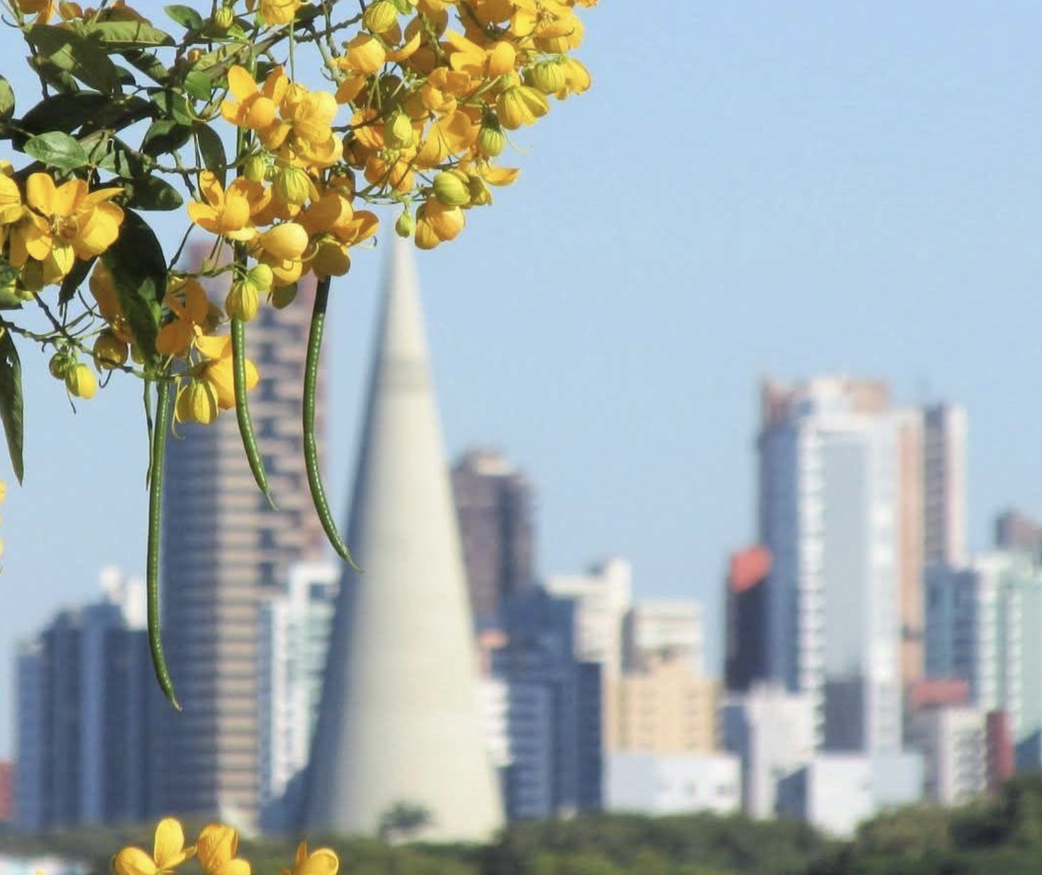 Confira a previsão do tempo para este domingo, 25, segundo o Simepar