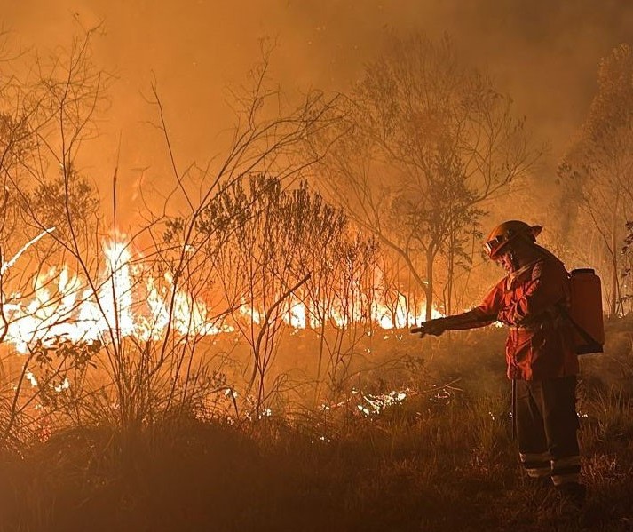 Queima de fios é a principal causa de incêndios ambientais em Maringá