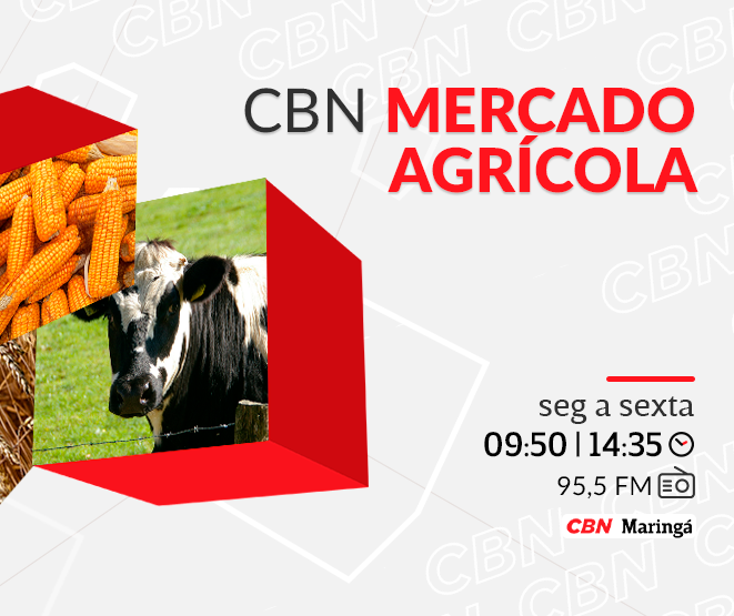 Soja segue negociada a R$ 121,00 por saca