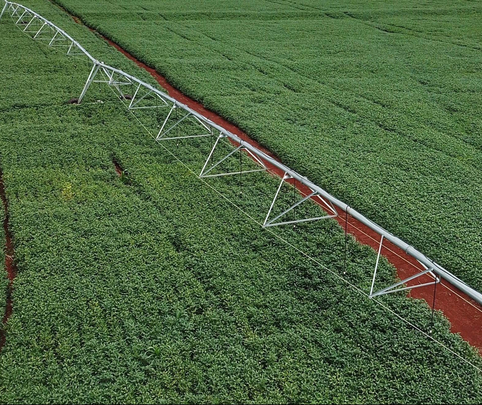 Estudos apontam que área irrigada do Brasil pode crescer 4,2 hectares até 2040